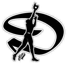 D NICE trademark
