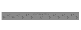 VIRGINIA TECH trademark