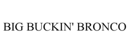 BIG BUCKIN' BRONCO trademark