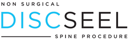 NON SURGICAL DISCSEEL SPINE PROCEDURE trademark