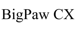 BIGPAW CX trademark