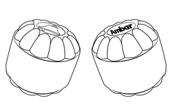 AMBAR trademark