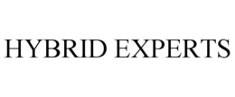 HYBRID EXPERTS trademark