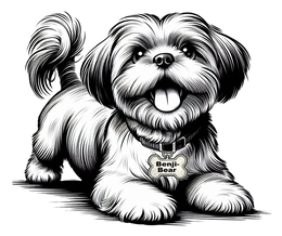 BENJI-BEAR trademark