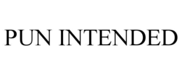 PUN INTENDED trademark
