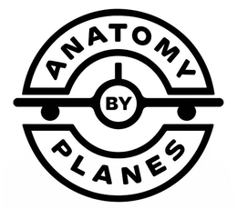 ANATOMY BY PLANES trademark