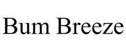 BUM BREEZE trademark
