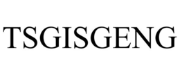 TSGISGENG trademark