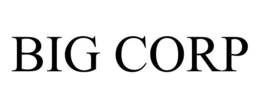 BIG CORP trademark
