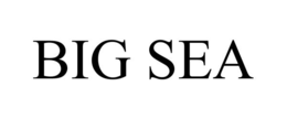 BIG SEA trademark