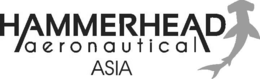 HAMMERHEAD AERONAUTICAL ASIA trademark