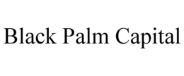 BLACK PALM CAPITAL trademark