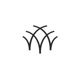 V trademark