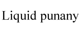 LIQUID PUNANY trademark