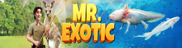MR. EXOTIC trademark