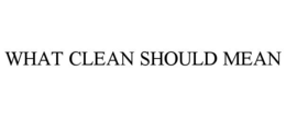 WHAT CLEAN SHOULD MEAN trademark