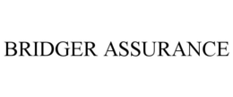 BRIDGER ASSURANCE trademark