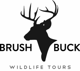 BRUSH BUCK WILDLIFE TOURS trademark