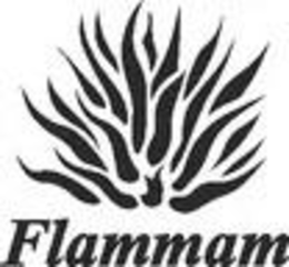 FLAMMAM trademark
