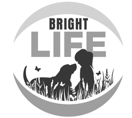 BRIGHT LIFE trademark