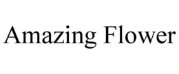 AMAZING FLOWER trademark