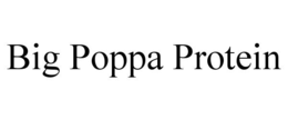 BIG POPPA PROTEIN trademark