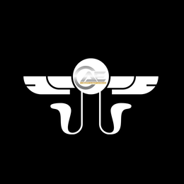 CAE C.REATE A.DAPT E.VOLVE trademark