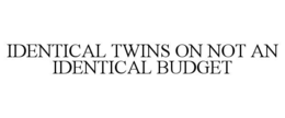 IDENTICAL TWINS ON NOT AN IDENTICAL BUDGET trademark
