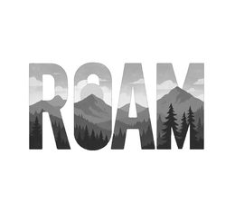 ROAM trademark