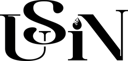 USIN trademark