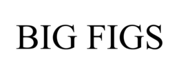 BIG FIGS trademark