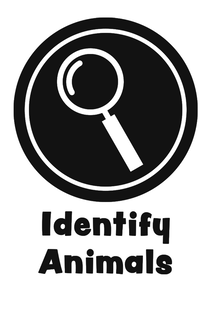 IDENTIFY ANIMALS trademark
