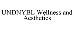 UNDNYBL WELLNESS AND AESTHETICS trademark