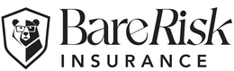 BARE RISK INSURANCE trademark