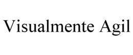 VISUALMENTE AGIL trademark