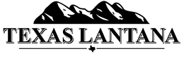 TEXAS LANTANA trademark
