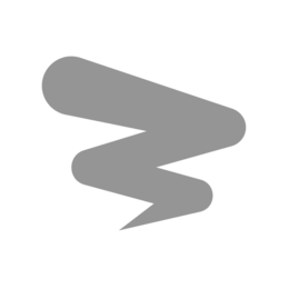 Z trademark