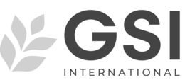 GSI INTERNATIONAL trademark