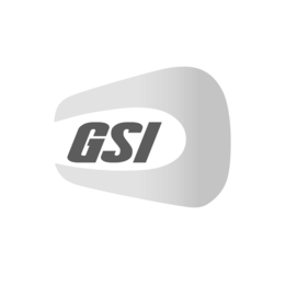 GSI trademark