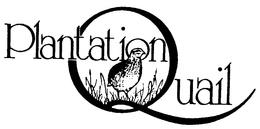 PLANTATION QUAIL trademark
