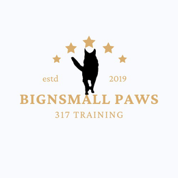 ESTD 2019 BIGNSMALL PAWS  317 TRAINING trademark