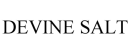 DEVINE SALT trademark