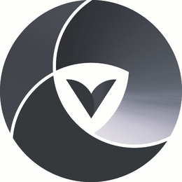 V trademark