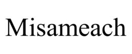 MISAMEACH trademark