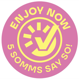 ENJOY NOW   5 SOMMS SAY SO! trademark