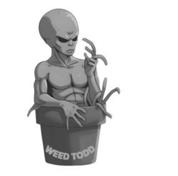 WEED TODD trademark