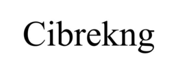 CIBREKNG trademark