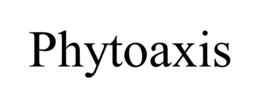 PHYTOAXIS trademark