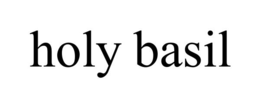HOLY BASIL trademark