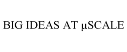 BIG IDEAS AT µSCALE trademark